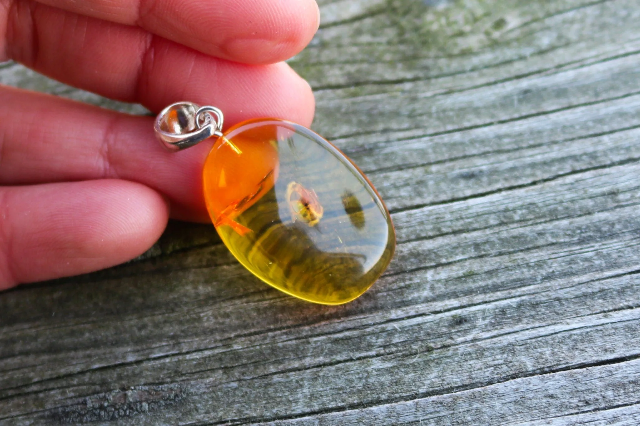 Baltic Amber Pendant Fossil Insect Natural Honey Unisex Jewelry 1.64" 3.5 gram 925 silver