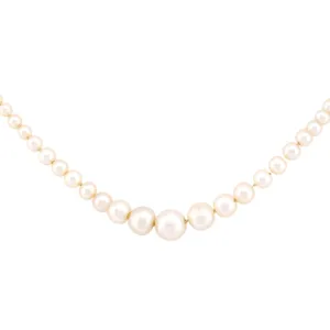 Edwardian Natural Pearl 14K Yellow Gold Necklace